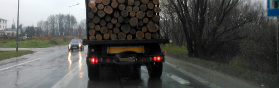Transporty drewna niszczą drogi